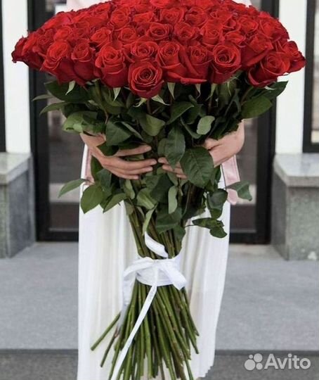 Розы Букеты Цветы Розы 31 101 151 201 Доставка