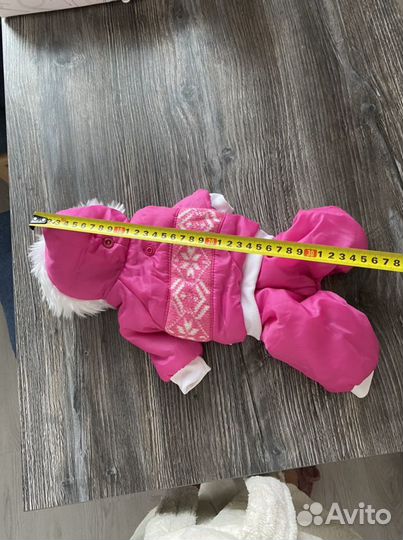 Одежда для собак