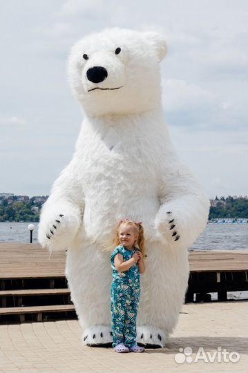 Поздравление от Белого мишки