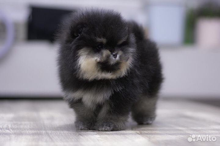 Милашка