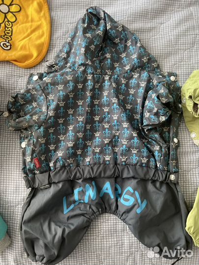 Одежда для собак пакетом