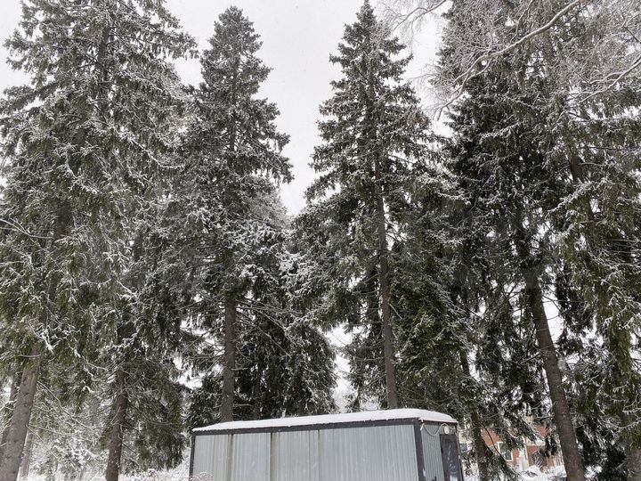 Участок 12 сот. (СНТ, ДНП)