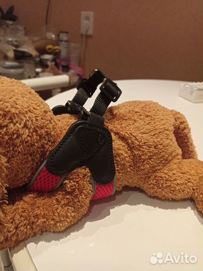 Шлейка для мелких пород собак