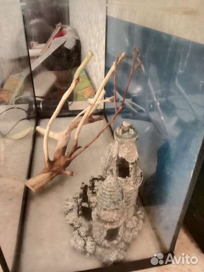 Коряги для аквариума