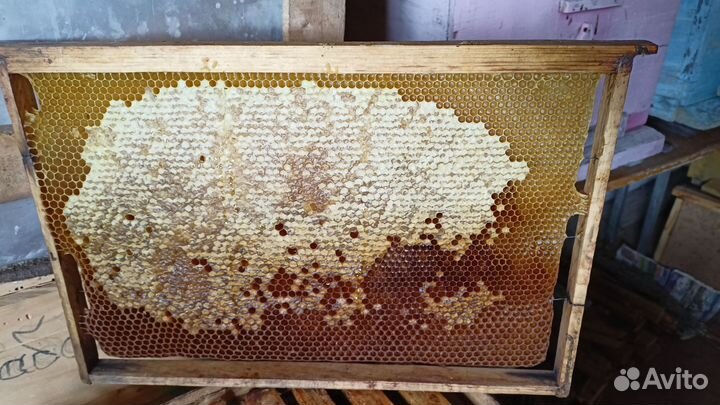 Ульи, сушь для пчел