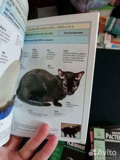 Миниэнциклопедии, комплект 16шт, можно поштучно