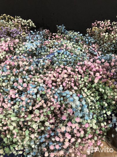 Гипсофила букет