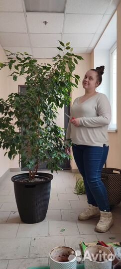 Специалист по уходу за растениями