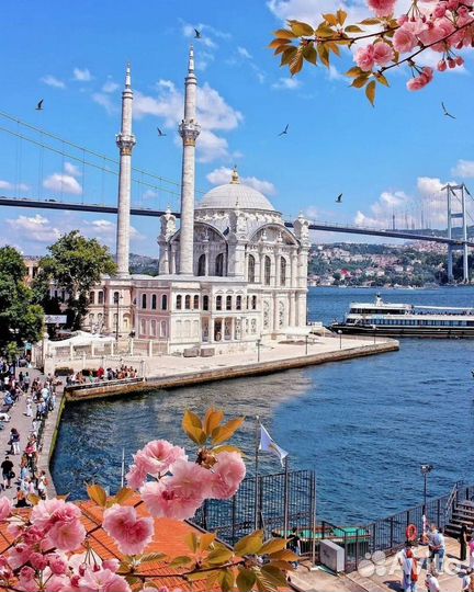 Тур в Стамбул из Калининграда Турция