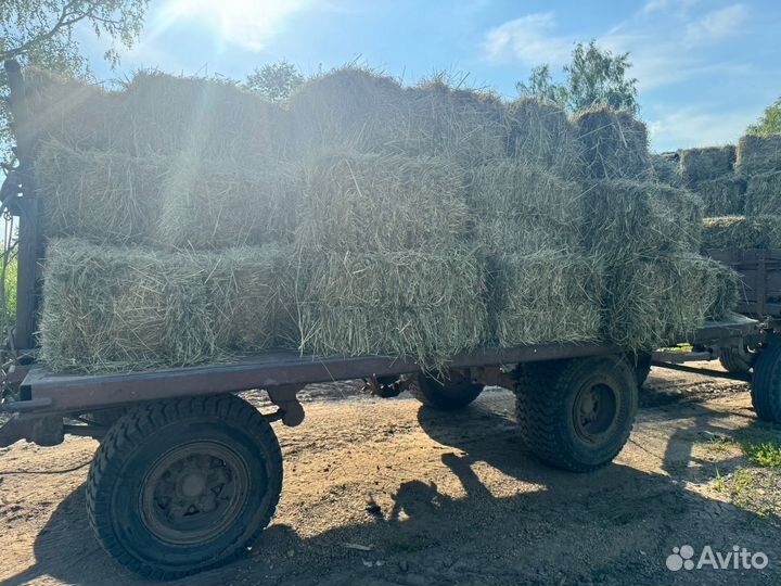 Продажа сено