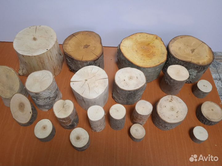 Спилы дерева поперечные пеньки подставки