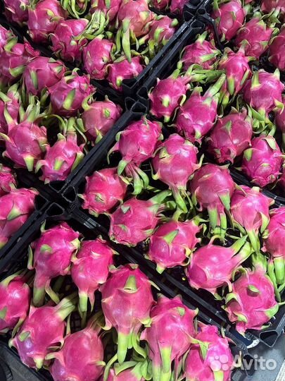 Питахайя красная Драгон фрукт