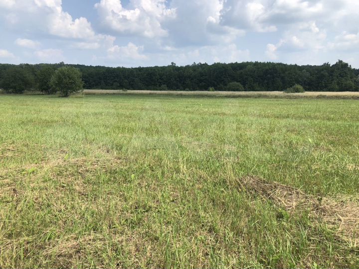 Участок 12 га (СНТ, ДНП)