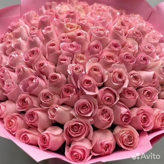 101 роза Эквадор букет цветы