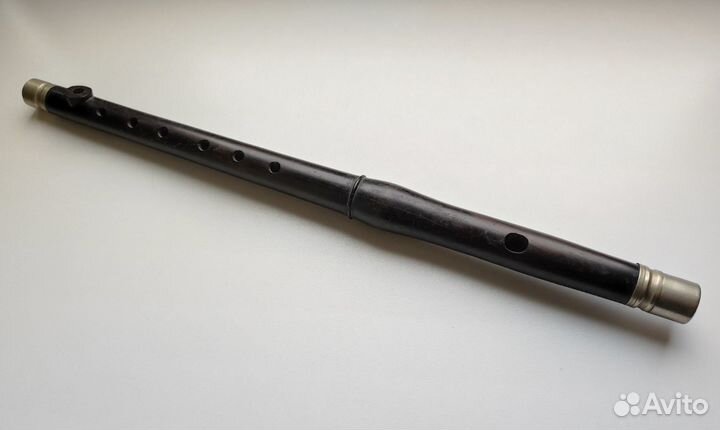 Флейта и полковой Горн, Первая Мировая