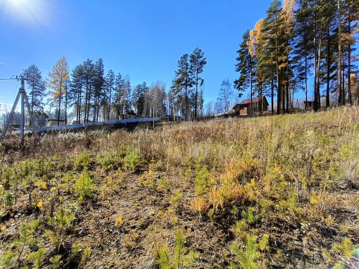 Участок 22 сот. (ИЖС)