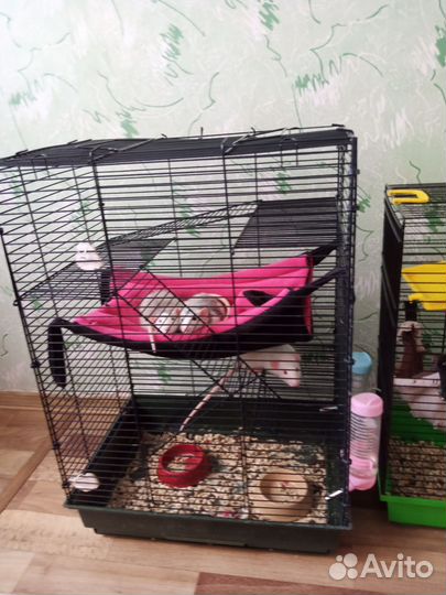Клетка для грызунов большая