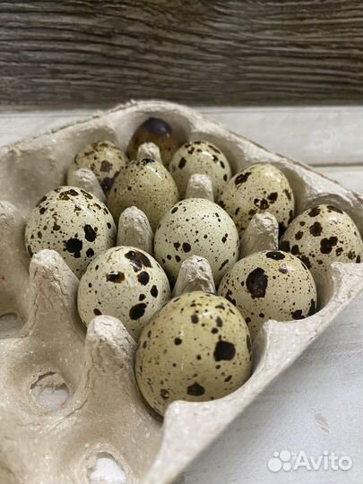 Яйца перепелиные