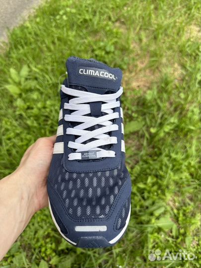 Кроссовки Adidas climacool