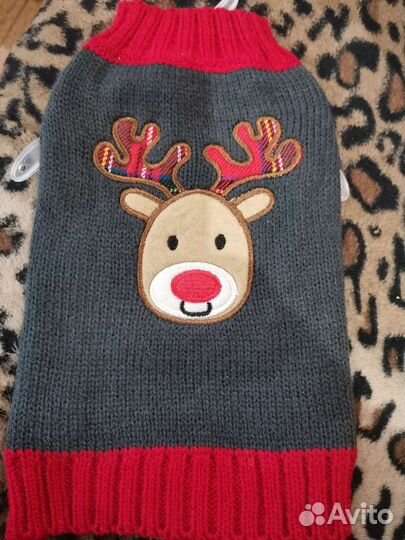 Одежда для собак