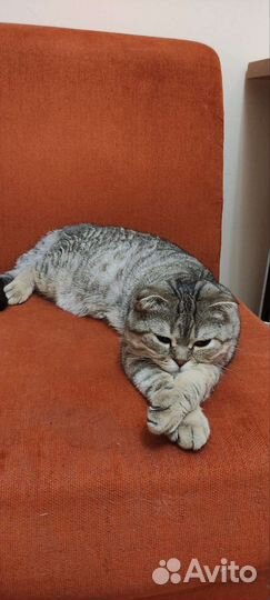 Котик для вязки