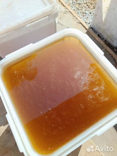 Мёд Цветочный оптом