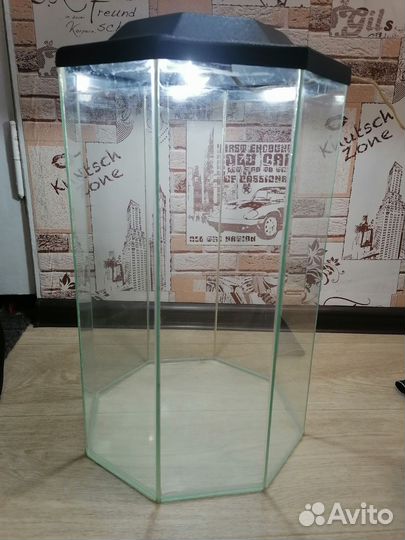 Аквариум под реставрацию