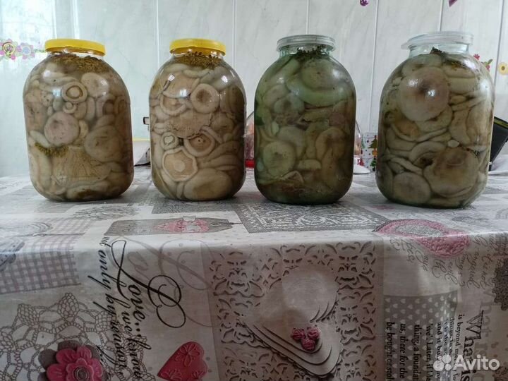 Белые грузди