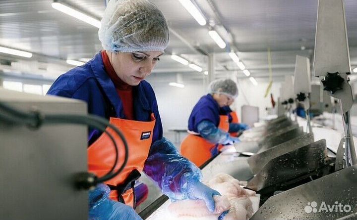 Разнорабочий на рыбное производство(Вахта 35 смен)