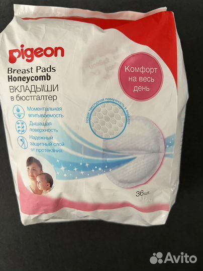 Pigeon