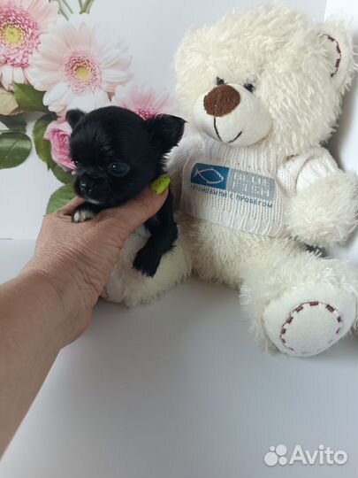 Малыш Космос