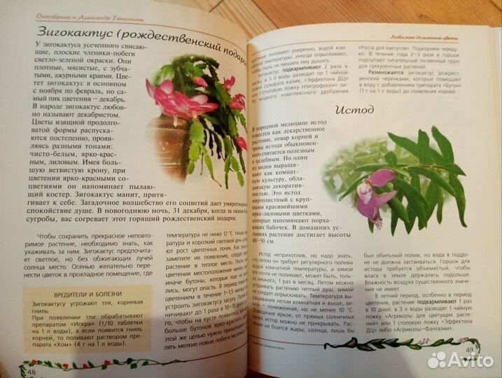 Книга Октябрина Ганичкина 