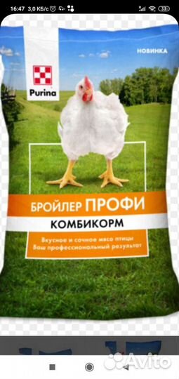 Корма для сельскохозяйственных животных и птиц. В