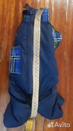 Комбинезон для мелкой собачки