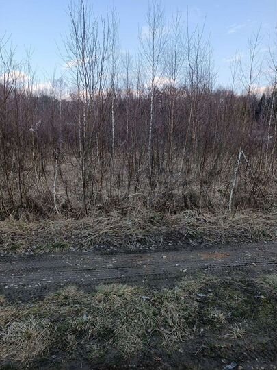 Участок 6 сот. (ИЖС)
