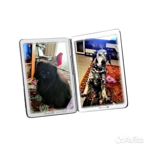 Возьму собаку на время отпуска