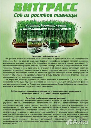 Витграсс Премиум - молодые ростки пшеницы.Сок