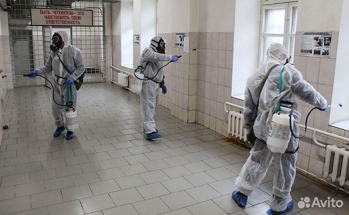 Обработка от тараканов Уничтожение клопов Травля