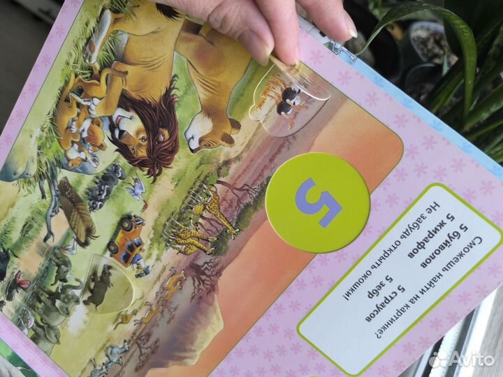 Книга картон счет до 10