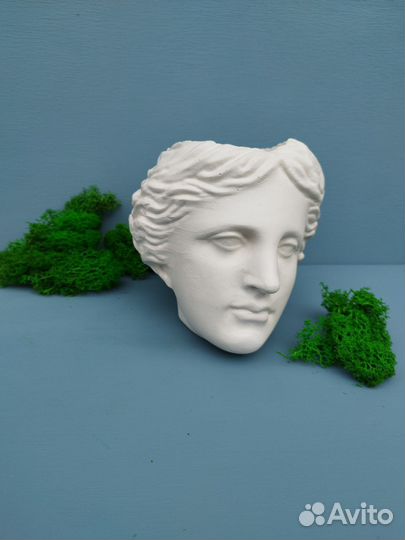 Кашпо для цветов