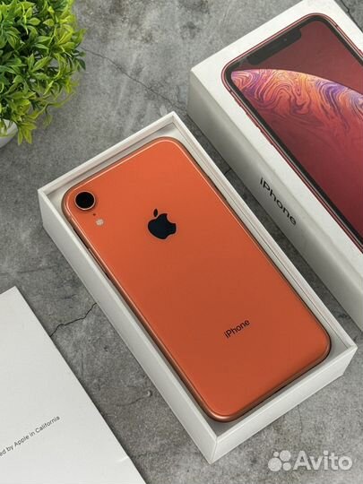 iPhone Xr, 128 ГБ