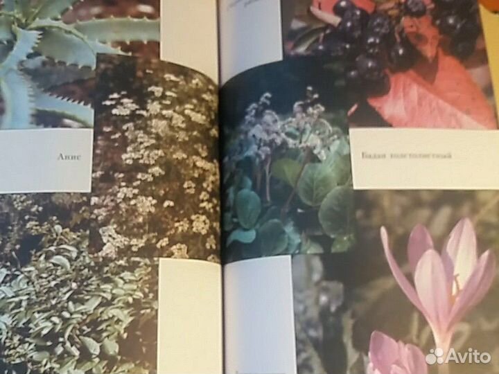 Книга о здоровье