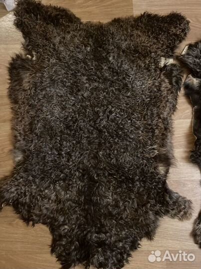 Шкуры длинношерстной козы