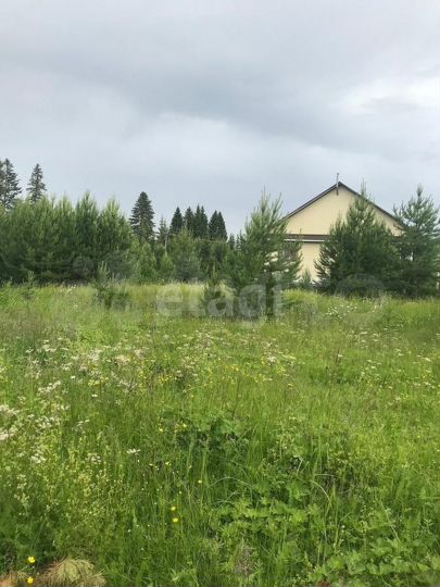 Участок 11,9 сот. (личное подсобное хозяйство (лпх))