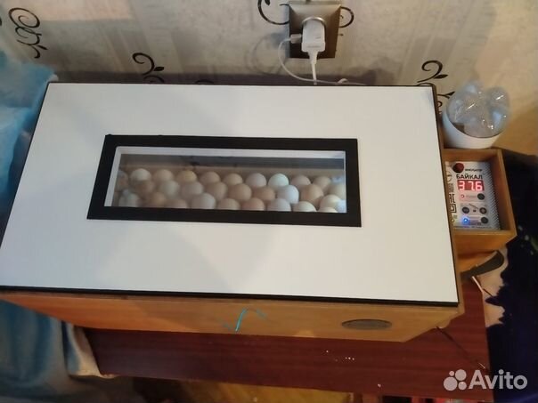 Удобный инкубатор Блиц Байкал до 72 яиц цифровой