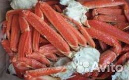 Конечности стригуна оптом