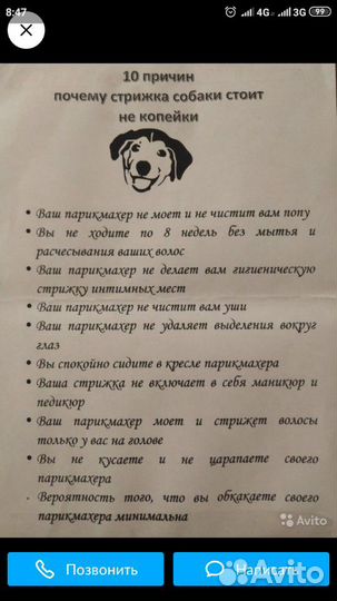 Стрижка собак и кошек, выезд на дом