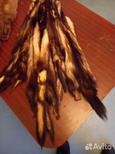 Норка соболь песец хорёк шкура новая