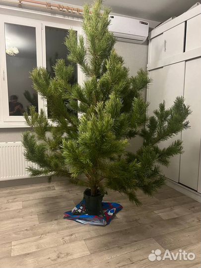 Подставка для елки большая