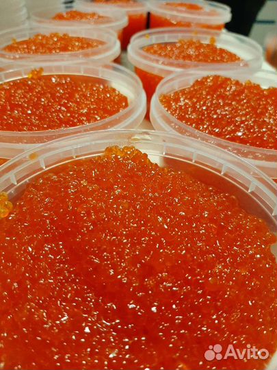 Красная икра форели и кеты